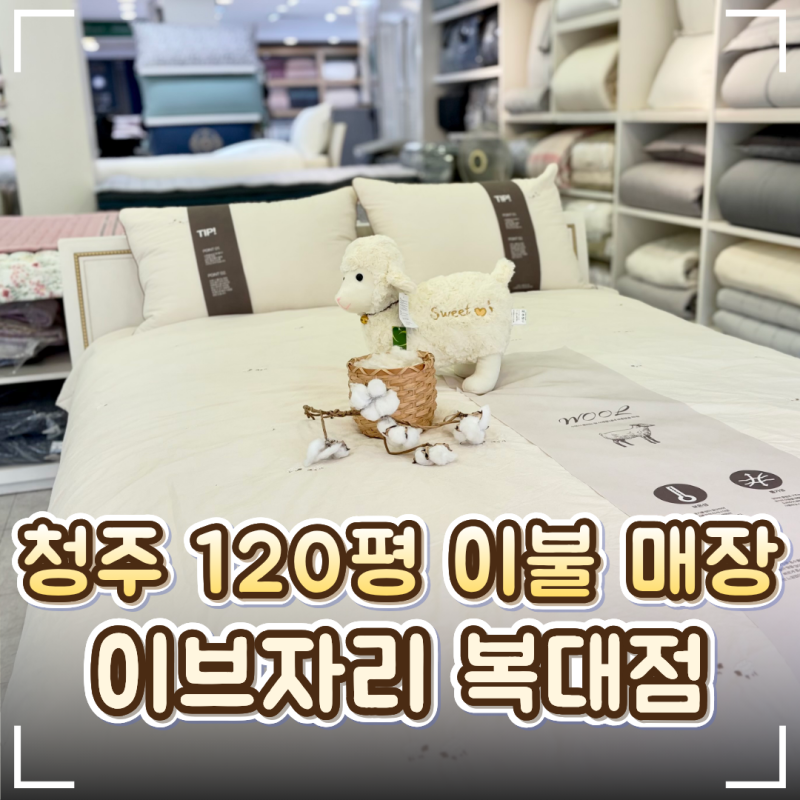 청주 이불 120평 최대매장 '이브자리 코디센 청주복대점'｜경추베개·온누리상품권 할인 꿀팁....