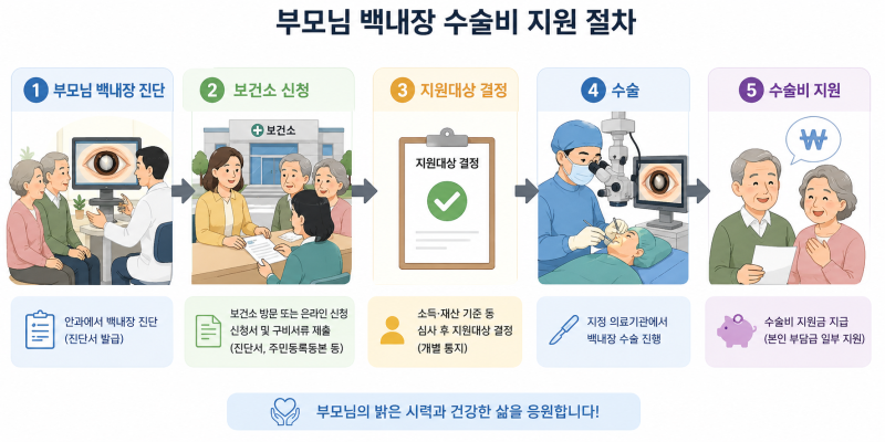 "부모님 백내장 수술비 부담된다면?" 60세 이상 눈 수술비 지원 대상·신청방법