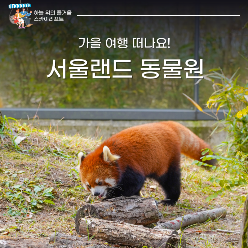 서울랜드 동물원? 서울대공원 동물원 가을 여행 떠나요