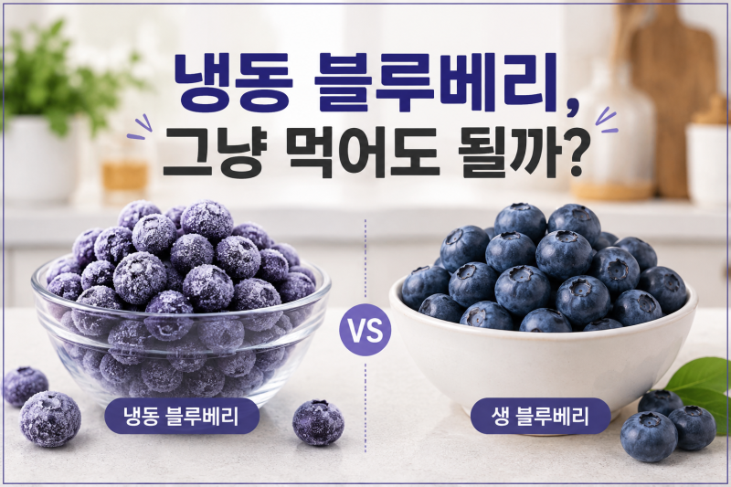 냉동 블루베리, 씻어서 먹어야 할까?생블루베리와 다른 안전한 섭취법