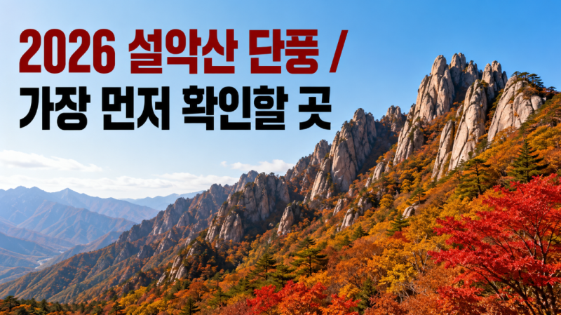 2026 전국 단풍축제 총정리｜9월·10월 설악산·화담숲·내장산·백양사 가을여행