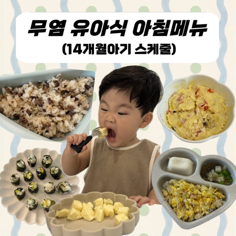 돌아기 13개월 아기 무염 유아식 아침메뉴 추천 5가지 (Feat. 14개월아기 스케쥴)!