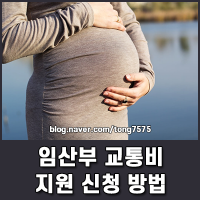 서울시 경기도 임산부 교통비 지원 신청 방법 2026 혜택 비교