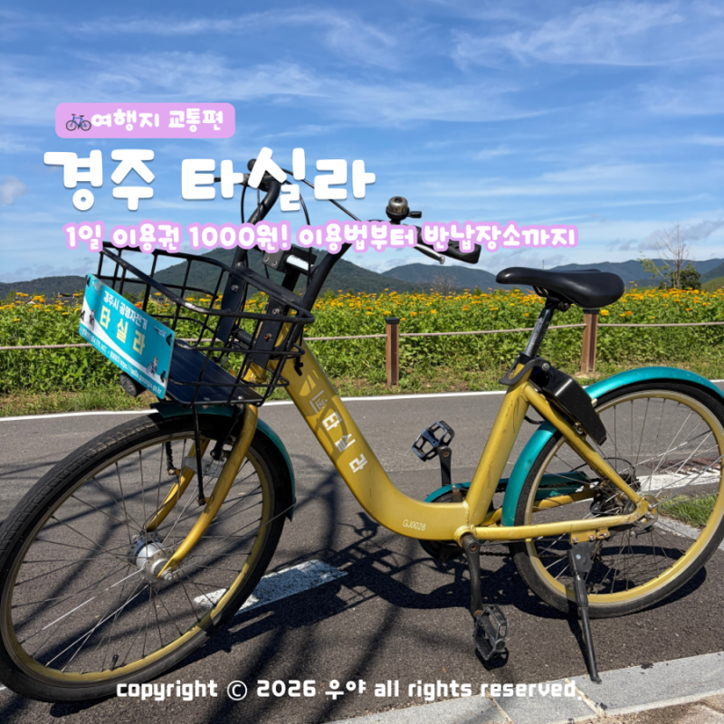 "천원의 행복" 경주 공영자전거 타실라 대여 후기 요금 반납 이용방법까지