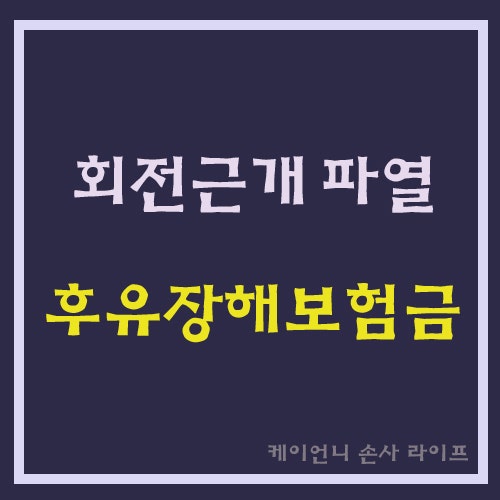 어깨 회전근개파열 후유장해보험금, 보험회사 판단기준│기왕증·견관절 운동범위·판례