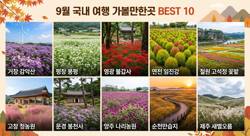 9월 국내 여행지 추천 BEST 10! │선선한 가을 바람 따라 떠나는 여행
