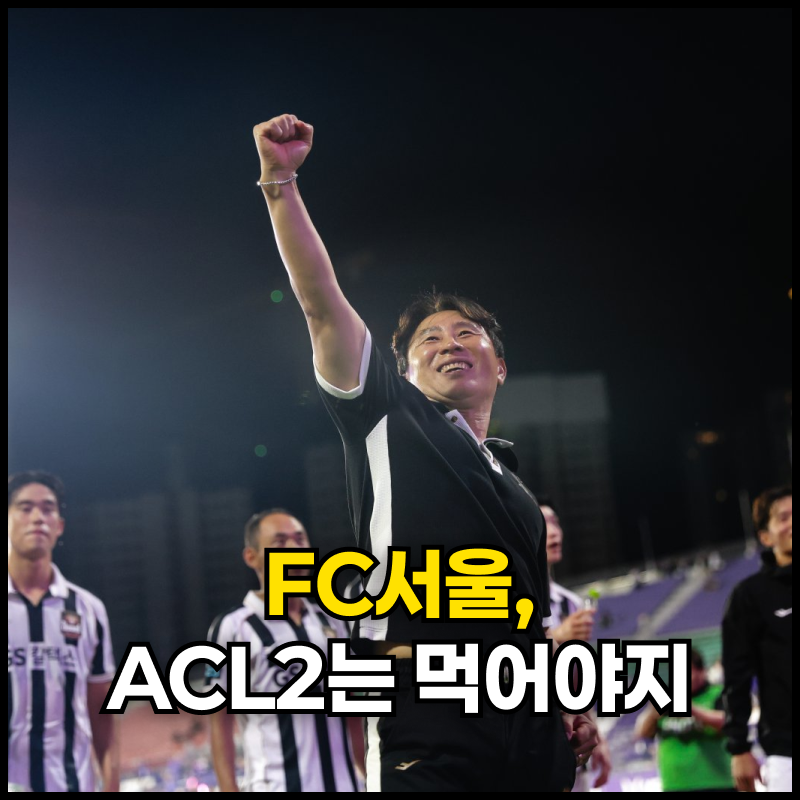 ACL2에 도전하는 K리그1 1위 팀 FC서울의 챔스 잔혹사