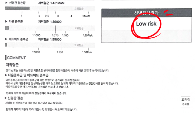 [임신-11] 현대해상 태아보험 가입 후기 I 5개 보험사 가입 거절, 재심사 후 가입 성공/16주 원....