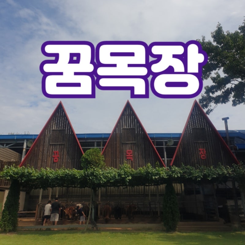 [체험] 꿈목장 (feat.김포투어패스)