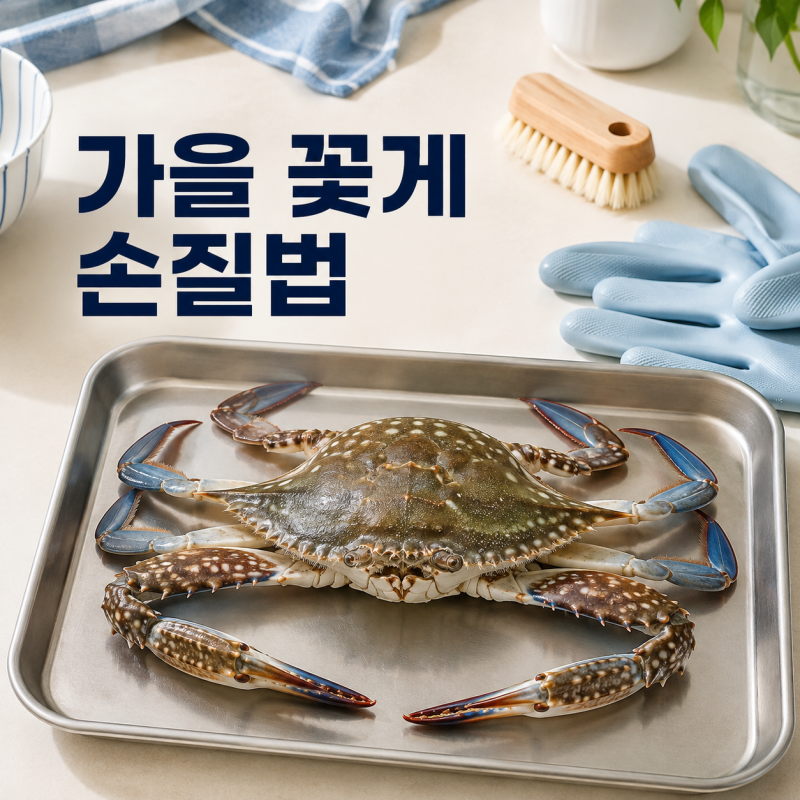 가을 꽃게 손질법, 초보자도 쉽게 따라 하는 세척·보관 방법