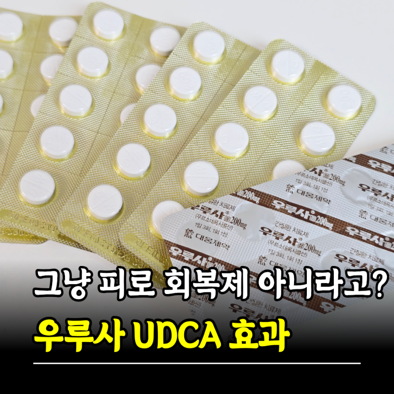 그냥 피로 회복제 아니라고? 우루사 효과 효능 UDCA (100, 200, 300mg)