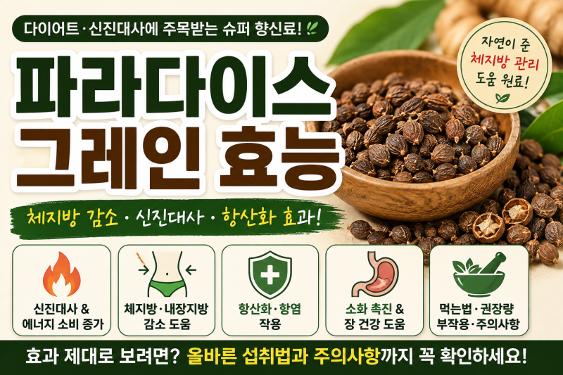 파라다이스 그레인 효능 총정리｜체지방 감소·먹는법·부작용까지