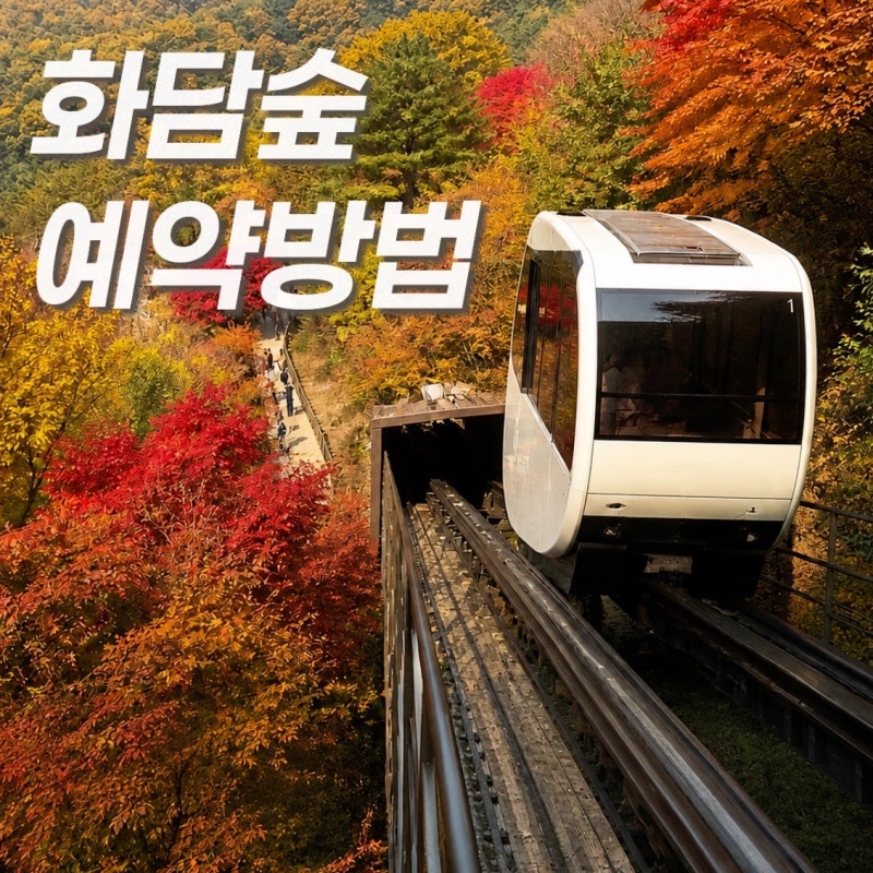 화담숲 예약 방법 꿀팁 2026년 단풍 시즌