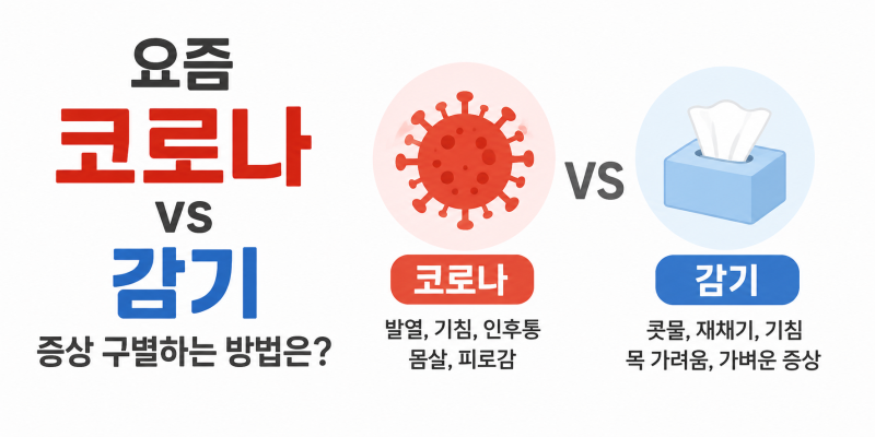 요즘 코로나 감기 증상 구별하는 방법은? 목통증부터 자가진단키트 정확도까지 총정리