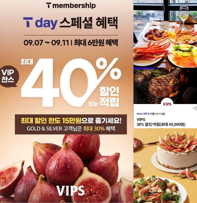 빕스 T데이 SKT 할인 후기 추가 가을 무화과 신메뉴 샐러드바 가격