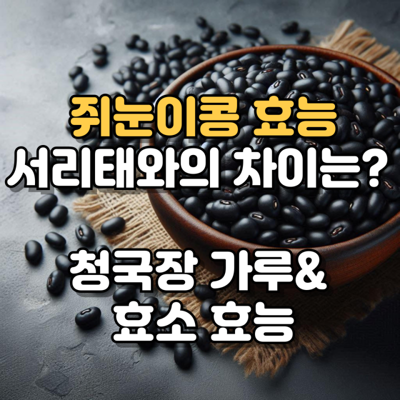 쥐눈이콩 효능 제대로 알기, 청국장 가루와 효소는 이렇게 다릅니다.