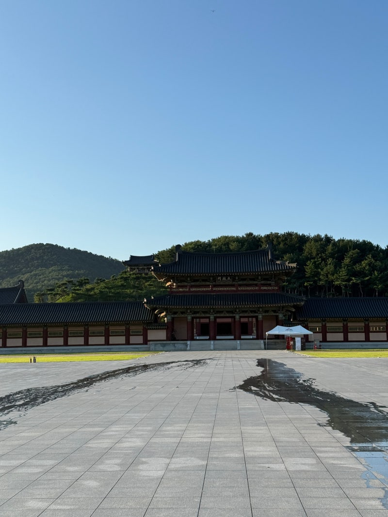 [부여] 아기랑 부여 여행 :: 윤가석갈비 본점 사비향 시골통닭 백제문화단지 국립부여박물관