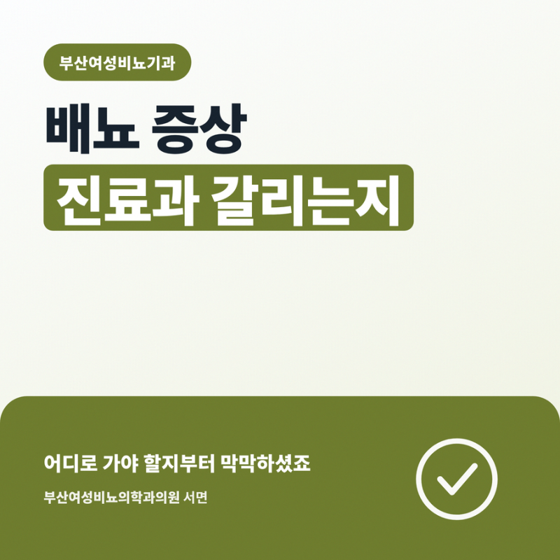 부산여성비뇨기과 배뇨 증상 진료과 갈리는지