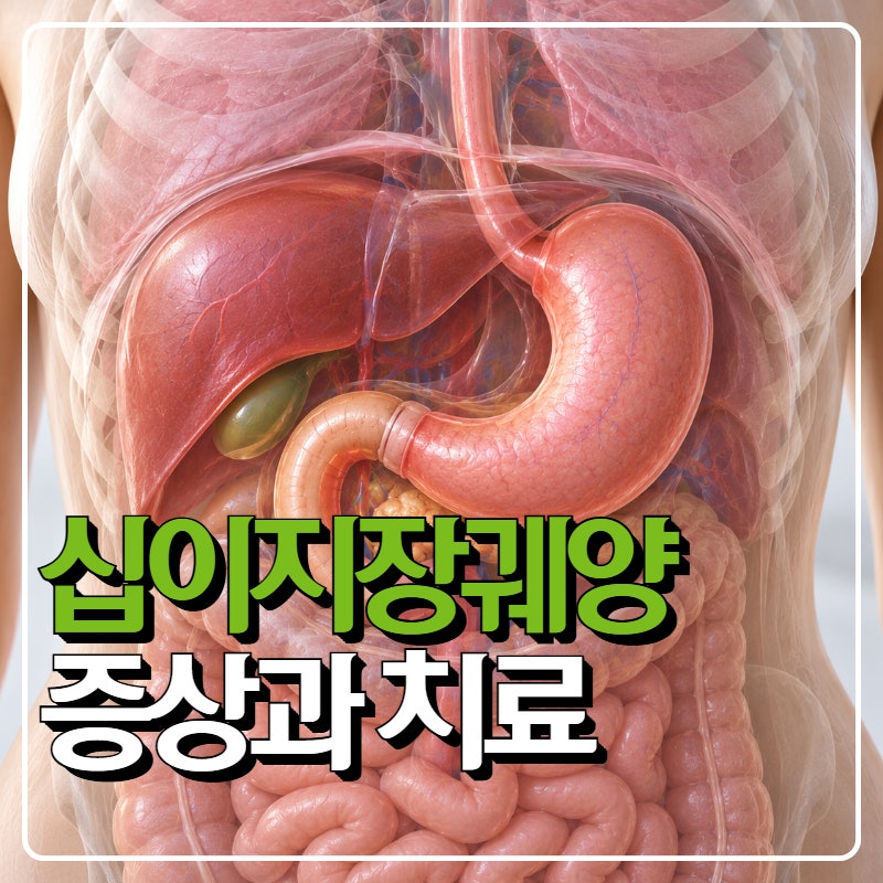 십이지장궤양 증상부터 치료까지, 아침속쓰림이 반복된다면