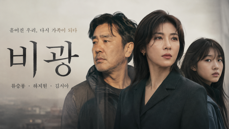영화 비광, 류승룡 하지원 조합보다 더 궁금한 ‘비광 뜻’은?