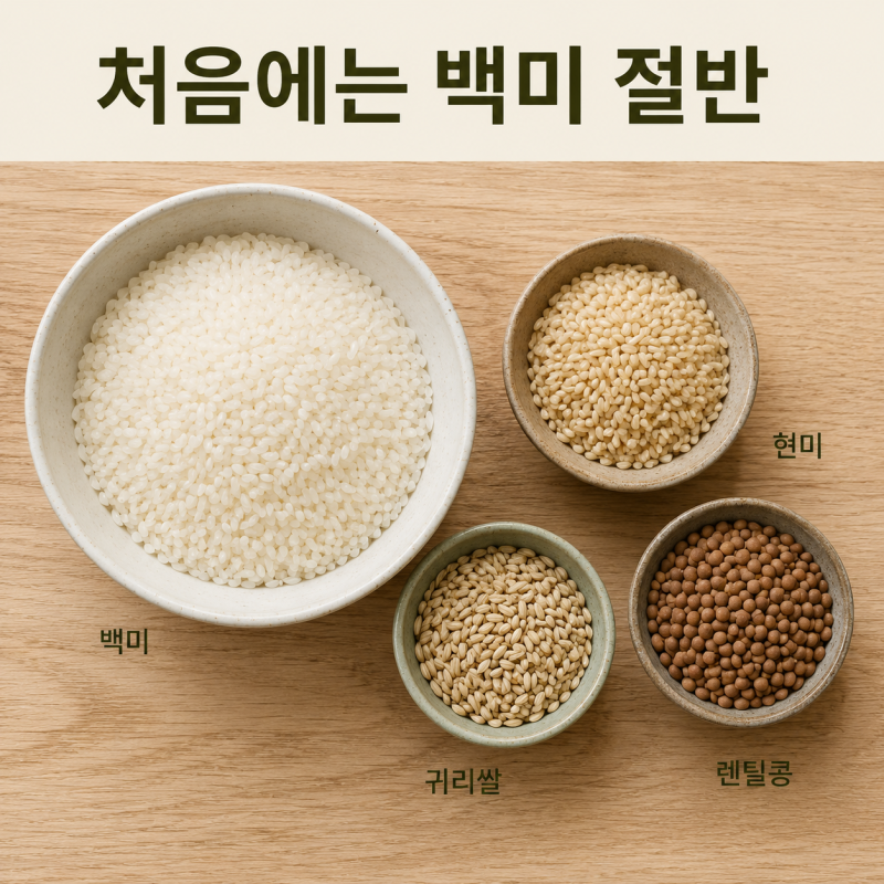 저속노화밥 만들기, 현미·귀리·렌틸콩 비율부터 물 조절까지