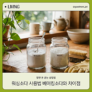 워싱소다사용법 총정리: 워싱소다 빨래 및 드럼세탁기 정량 꿀팁 (베이킹소다와 차이점)