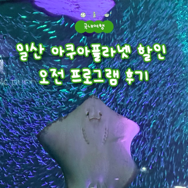 일산 아쿠아플라넷 할인 아이랑 오전 프로그램 후기