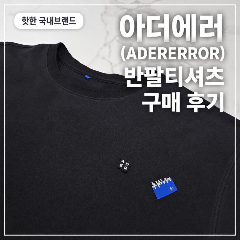 핫한 국내 브랜드 '아더에러(ADERERROR)' 반팔티 'Sig; BL Tag t-shirt 07' 구매 후기 (사이즈 팁/가격)