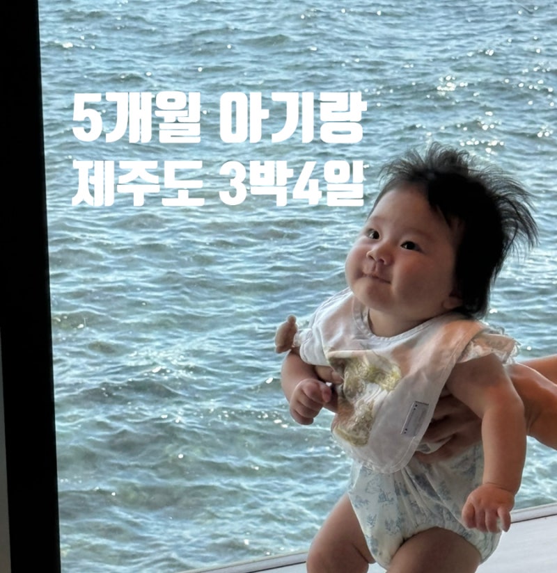5개월 아기랑 제주도 가족여행 3박4일 코스 일정 공유
