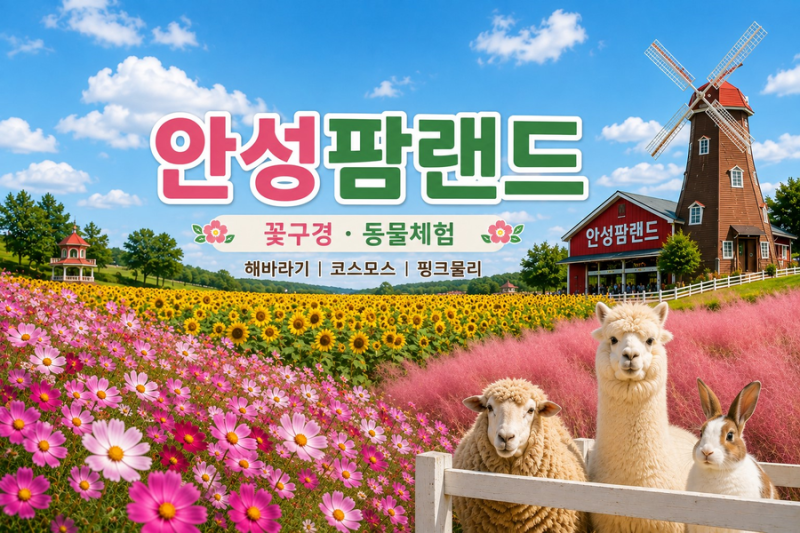 [안성팜랜드] 해바라기·코스모스·핑크뮬리부터 동물체험까지