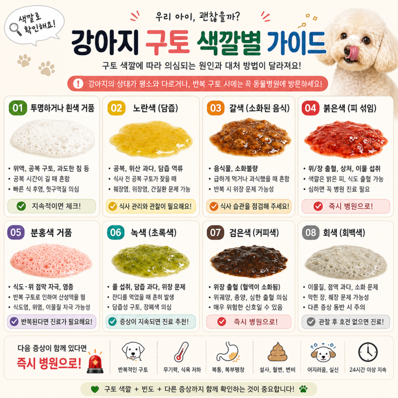 [반려견 건강상식] 우리 강아지 노란토 하얀토(거품토) 원인과 올바른 대처법 총정리