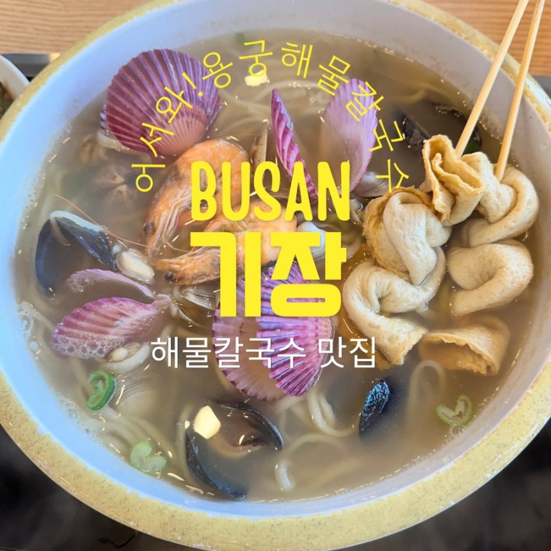 [기장 아울렛 점심] 용궁해물칼국수'에서! 싱싱한 해산물 가득, 가족외식 가성비 맛집