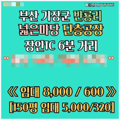 [임대] 부산 기장 반룡리 야드 2,479㎡(750평) 단층신축공장 991㎡(300평) 임대 하수직관연결 식품공장가능 장안IC 6분거리