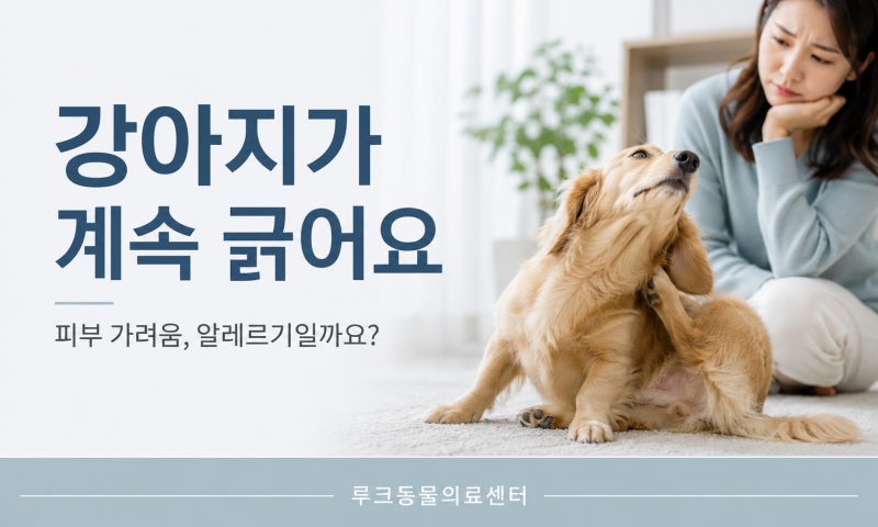 강아지가 계속 긁어요｜피부 가려움 원인, 알레르기·피부병일까요?｜인천 검단구 루크동물....