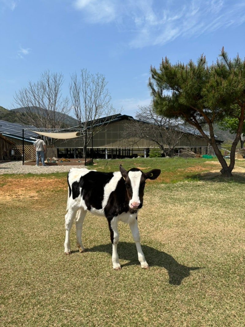하동 해뜰목장
