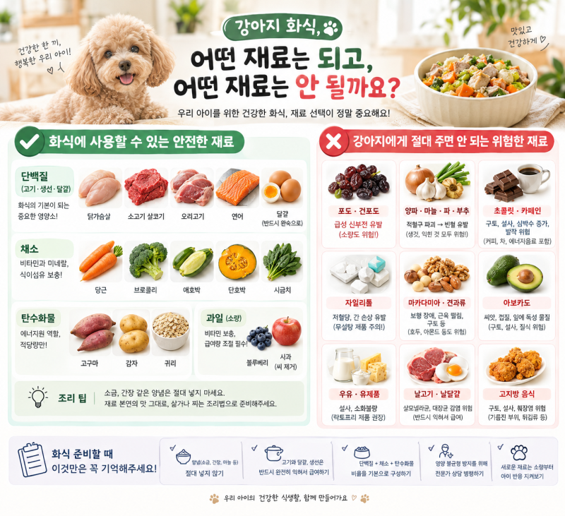 강아지 화식 재료 총정리 급여 가능한 재료 vs 절대 안되는 재료