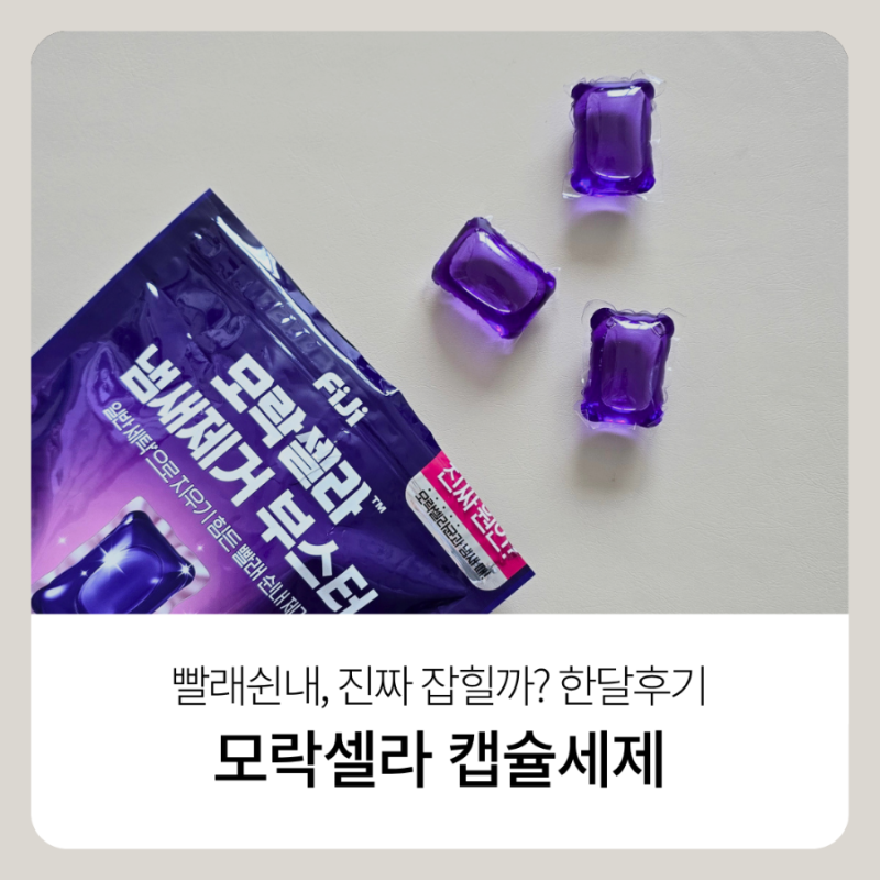 모락셀라 캡슐세제 내돈내산 | 빨래 쉰내 때문에 써본 솔직 후기