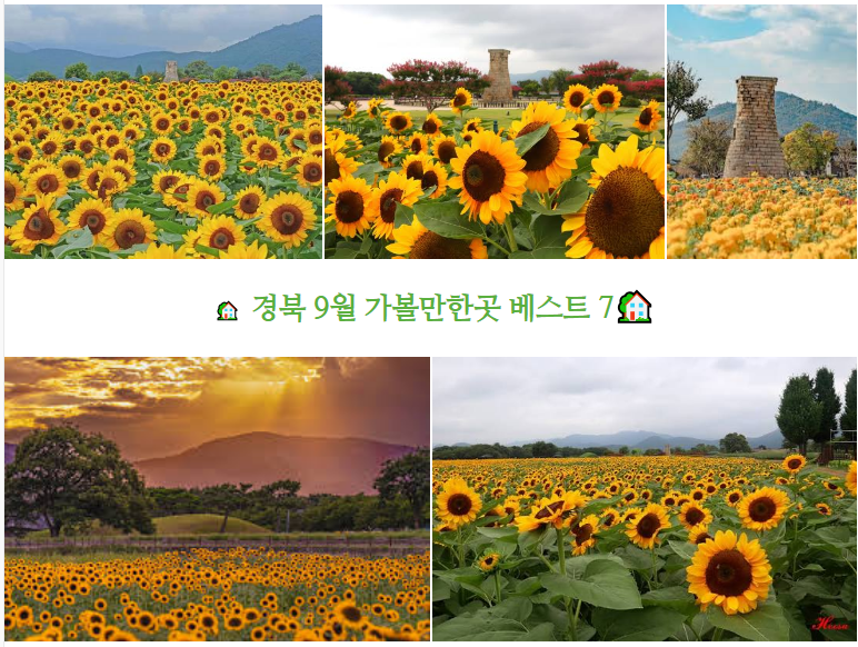 경북 9월 가볼만한곳 베스트 7 청정한 가을 바람 따라 떠나는 경상북도 초가을 힐링 여행과 ....