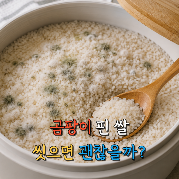 곰팡이 핀 쌀 먹으면 안 될까 버리기 전 꼭 보세요 냄새 하나가 답을 알려주더라고요