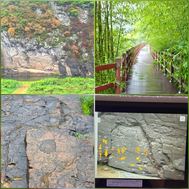 울산 울주 가볼만한곳 반구대암각화 우리나라문화유산