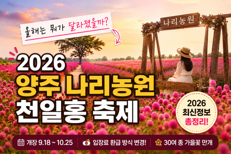 2026 양주 나리농원 천일홍 축제, 9월 18일 개장｜입장료부터 꽃 개화시기까지
