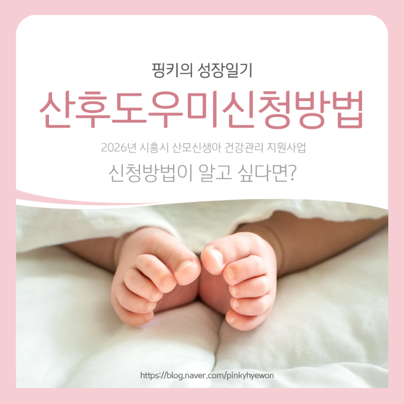 2026 산후도우미 신청방법 ㅣ시흥산모신생아건강관리지원사업 복지로신청부터 계약까지 직....
