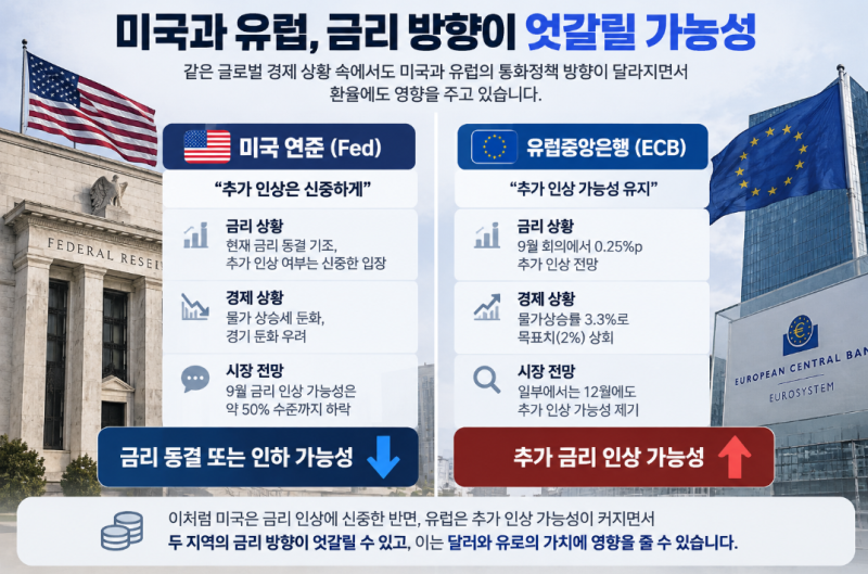 “원달러는 내렸는데 왜?” 유로 환율은 여전히 높은 이유, 원유로 환율 전망