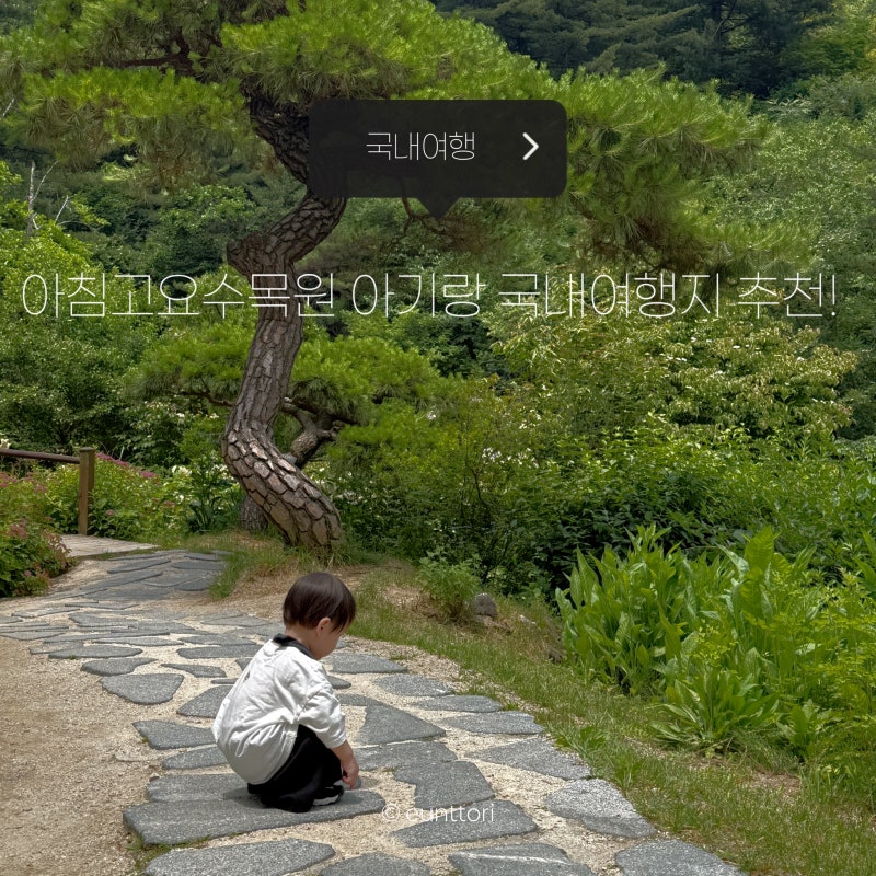 유모차 끌고 아기랑 다녀온 가평 아침고요수목원 (수유실 위치·입장료·운영시간 꿀팁)