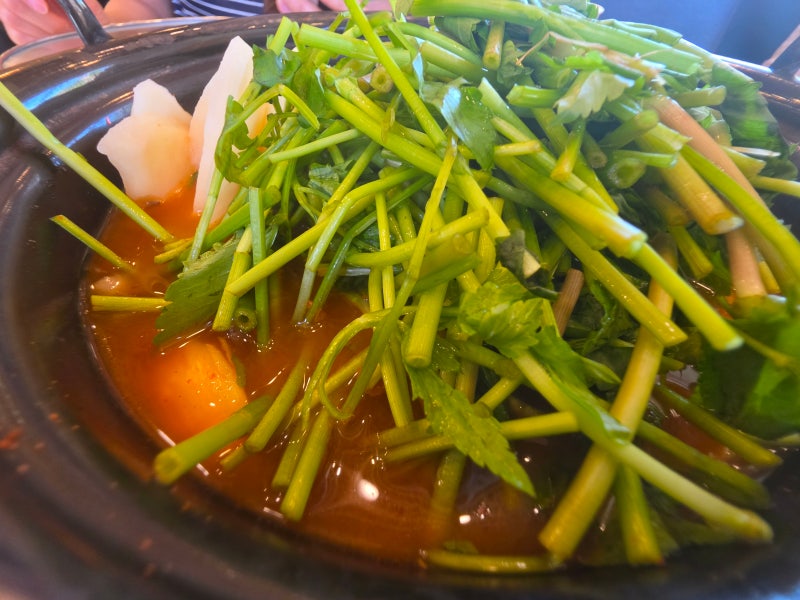 일산 대표 칼국수 등촌샤브칼국수 본점, 버섯칼국수 후기