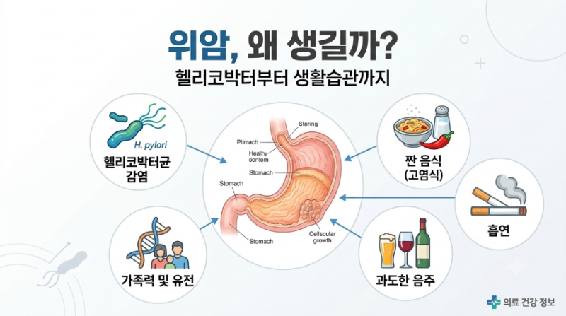 위암 2회｜위암 원인 7가지, 헬리코박터균부터 짠 음식·흡연까지