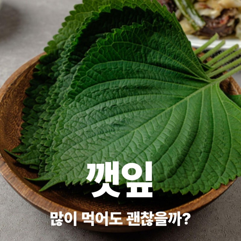 깻잎 효능과 부작용, 씻는법부터 보관방법까지