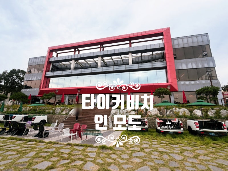 영종도 신시모도 신상 카페 추천 타이거 비치 인 모도, 신도평화대교 건너 오션뷰 베이커리 ....