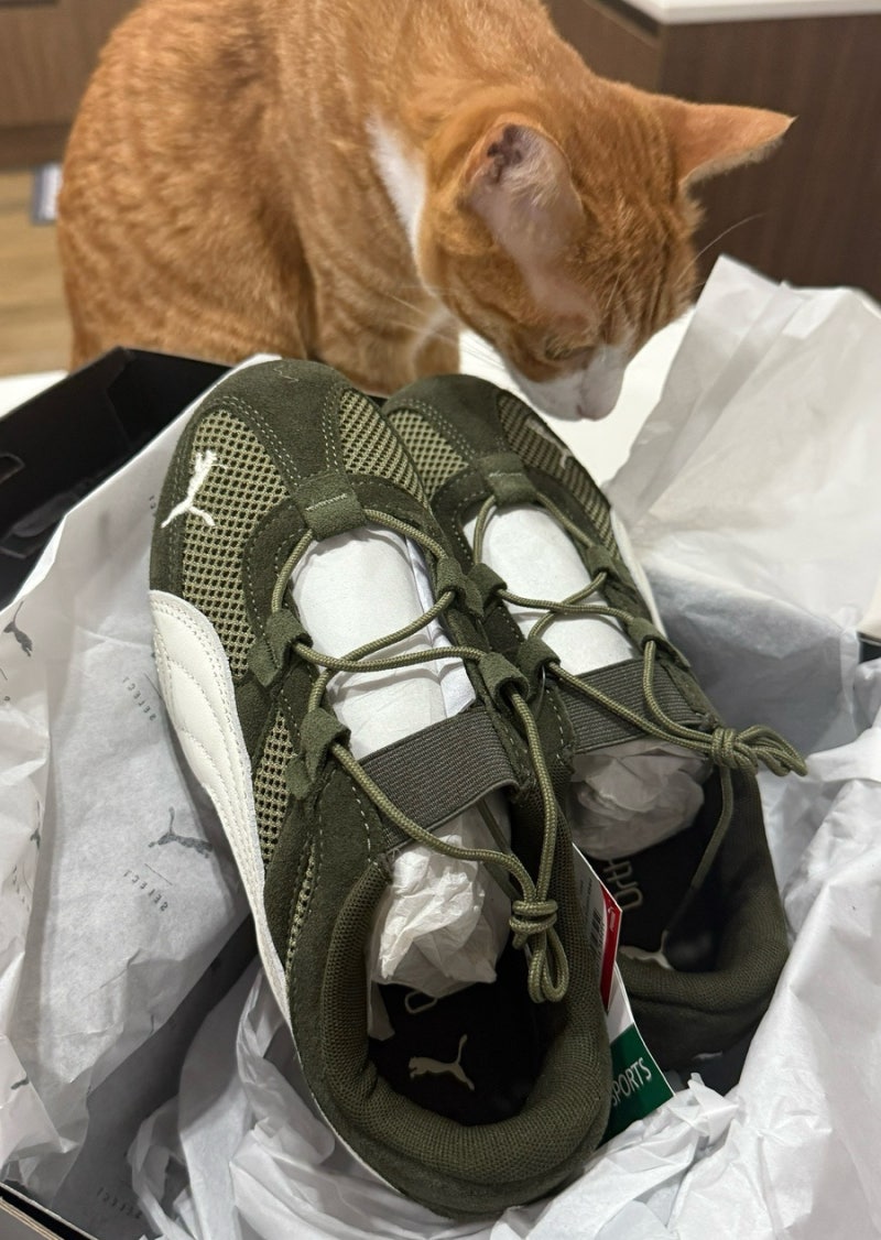 [신발] 푸마 puma 스피드캣고 카키 착용 후기 및 사이즈 추천