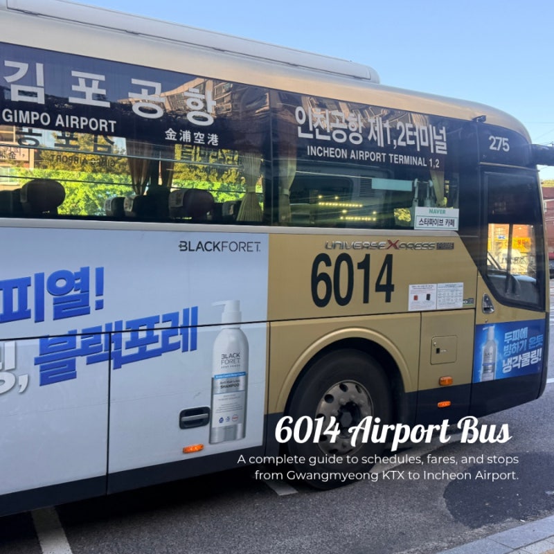6014 공항버스 광명KTX역 인천공항 시간표 요금 타는곳 총정리